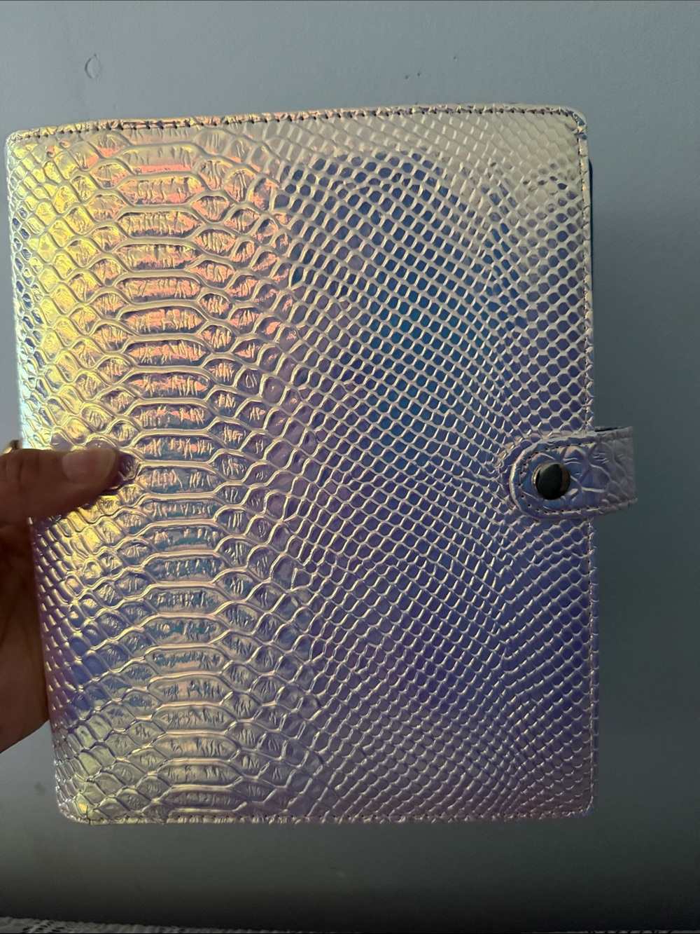 Iridescent Snake-Embossed Planner